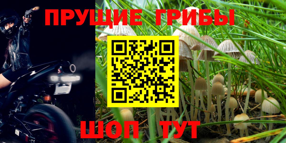 Ленинск-Кузнецкий  Галлюциногенные грибы MAGIC MUSHROOMS  Псилоцибиновые грибы MAGIC MUSHROOMS  Вход с VPN 